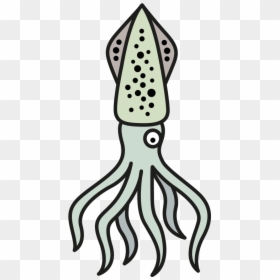 Illustration, HD Png Download - squid png