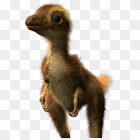 T Rex Feathers, HD Png Download - trex png