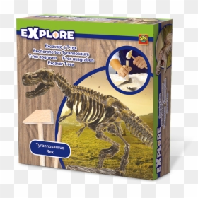 8710341250294, HD Png Download - trex png