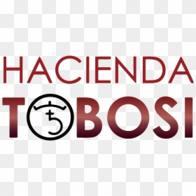 Graphic Design, HD Png Download - hacienda png