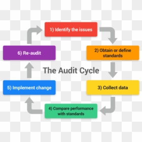 Ed Audit Cycle - Clinical Audit, HD Png Download - audit png