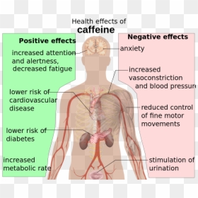 Effects Of Caffeine, HD Png Download - bloody brain png