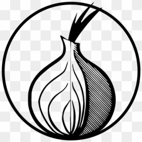 Orbot Logo Black White - Tor Onion Logo Black White, HD Png Download - tor png