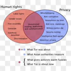 Diagram, HD Png Download - tor png