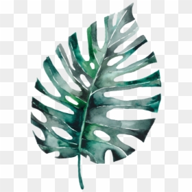 Img 5351, HD Png Download - tumblr feather png