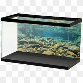 Transparent Underwater Png - River Rock Aquarium Background, Png Download - gravel texture png