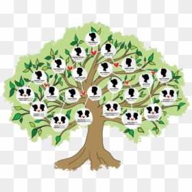 Family Tree - Different Types Of Family Tree, HD Png Download - eucaristia primera comunion png