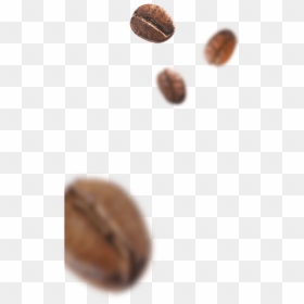Coffee Beans - Chocolate, HD Png Download - cafe people png