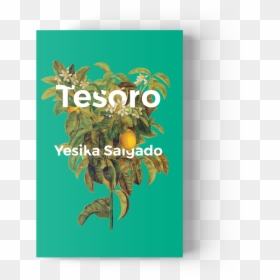 Today I’m Handing The Books Tumblr Reins Over To National - Tesoro Yesika Salgado, HD Png Download - book png tumblr