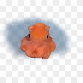Flapjack Octopus Png - Flapjack Octopus With White Background, Transparent Png - finding dory hank png