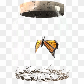 Clip Art Elder Scrolls Fandom Powered - Butterfly In A Jar Skyrim, HD Png Download - skyrim hud png