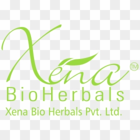 Logo - Xena Bio Herbals Logo, HD Png Download - xena png