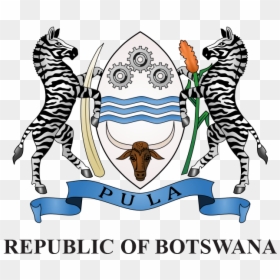 Coat Of Arms - Coat Of Arms Botswana Meaning, HD Png Download - ghana coat of arms png