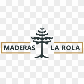 Maderas La Rola, HD Png Download - listones dorados png