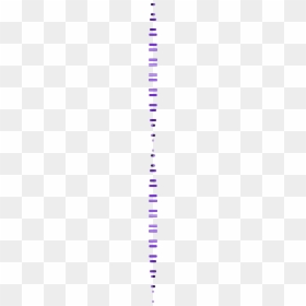 Circle, HD Png Download - telaraña spiderman png