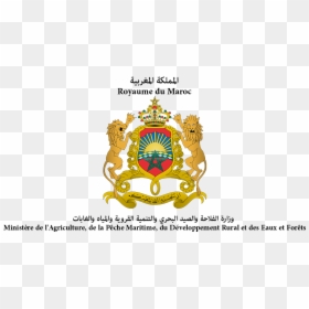 Ministrepeche - Coat Of Arms Of Morocco, HD Png Download - maroc png