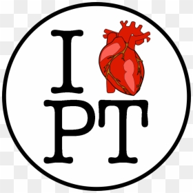 I Heart Pt <3 - Realistic Heart Organ Clipart, HD Png Download - pt png