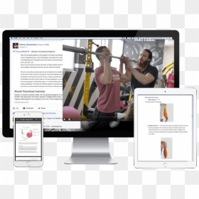 The Henselmans Pt Course - Online Advertising, HD Png Download - pt png