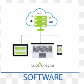 Barcode Scanner Lims, HD Png Download - pt png