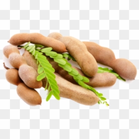 Thumb Image - Tamarind Png, Transparent Png - jawa png