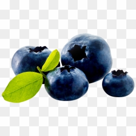 Blueberry, HD Png Download - foods png