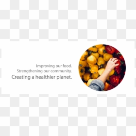 Food, HD Png Download - foods png