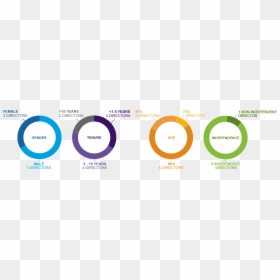 Board Composition Breakdown Chart - Circle, HD Png Download - board of directors png