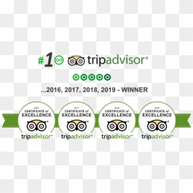 Tripadvisor Certificate Of Excellence 2019 2018 2017, HD Png Download - spanish class png