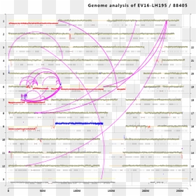 Diagram, HD Png Download - mayo clinic png