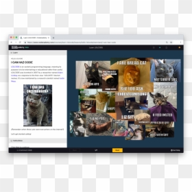 Can Has Cheezburger, HD Png Download - codecademy png