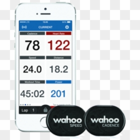 Wahoo Png, Transparent Png - wahoo png