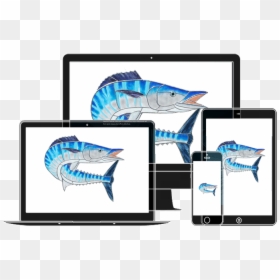 "  Class="img Responsive Animated Zoominup Animation - Sailfish, HD Png Download - wahoo png