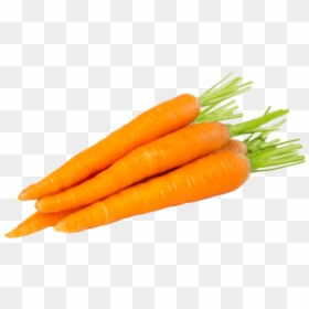 Fresh Vegetable Carrot, HD Png Download - baby carrot png