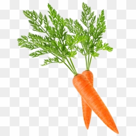 Baby Carrot Clip Art - Carrot Png, Transparent Png - baby carrot png