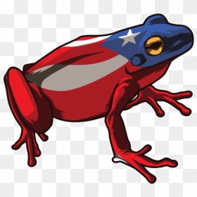 Coqui Frog Puerto Rico Flag, HD Png Download - boricua png