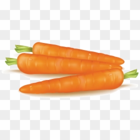 Vegetable, HD Png Download - baby carrot png