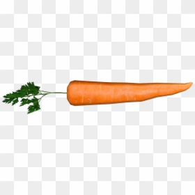 Carrot - Baby Carrot, HD Png Download - baby carrot png