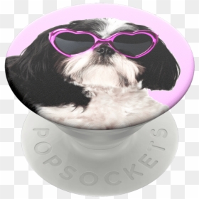 Popsockets Sassy Shih Tzu Popgrip - Popsocket Hund, HD Png Download - snapchat dog png
