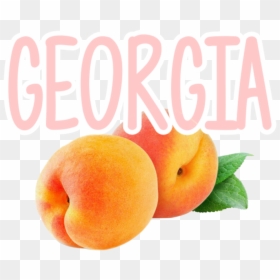 #georgia #fruit #peach - Peach, HD Png Download - georgia peach png