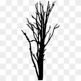 Woody Plant Tree Silhouette Clip Art - Tree Trunk Silhouette Png, Transparent Png - dead bush png