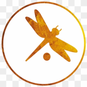 Circle, HD Png Download - divine png