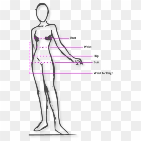 Hips Measurement, HD Png Download - butthole png
