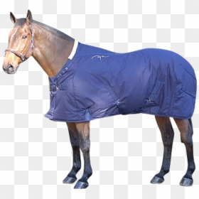 Dy"on Winter Stable Rug Tb51 - Horse Blanket, HD Png Download - stable png
