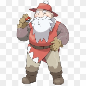 Capx Wiki - Grass Gym Leader Fakemon, HD Png Download - pokemon gym png
