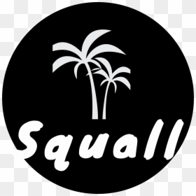 Squall Is The New Way For Music Artist To Connect To - Circle, HD Png Download - squall png