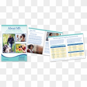 Multiple Sclerosis And Pregnancy Booklet, HD Png Download - multiple sclerosis png