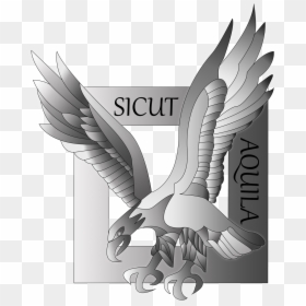Sicut Aquila Colorisé - Illustration, HD Png Download - aquila png