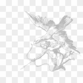 Sketch, HD Png Download - aquila png