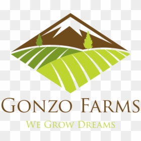 Building Company, HD Png Download - gonzo png
