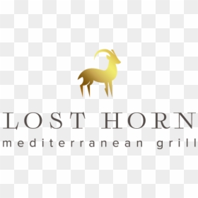 Argali, HD Png Download - horn of plenty png